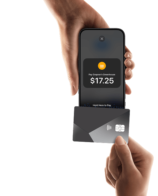 Tap to Pay contactless payment acceptance on smartphone