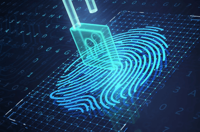The existing hierarchy and emerging dynamism of payments authentication